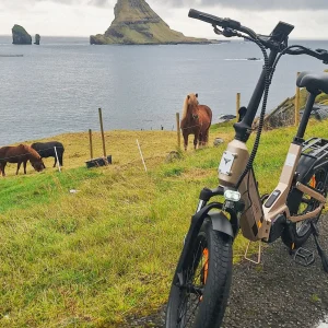 Fjord Fiesta – A joyful ride along the fjords
