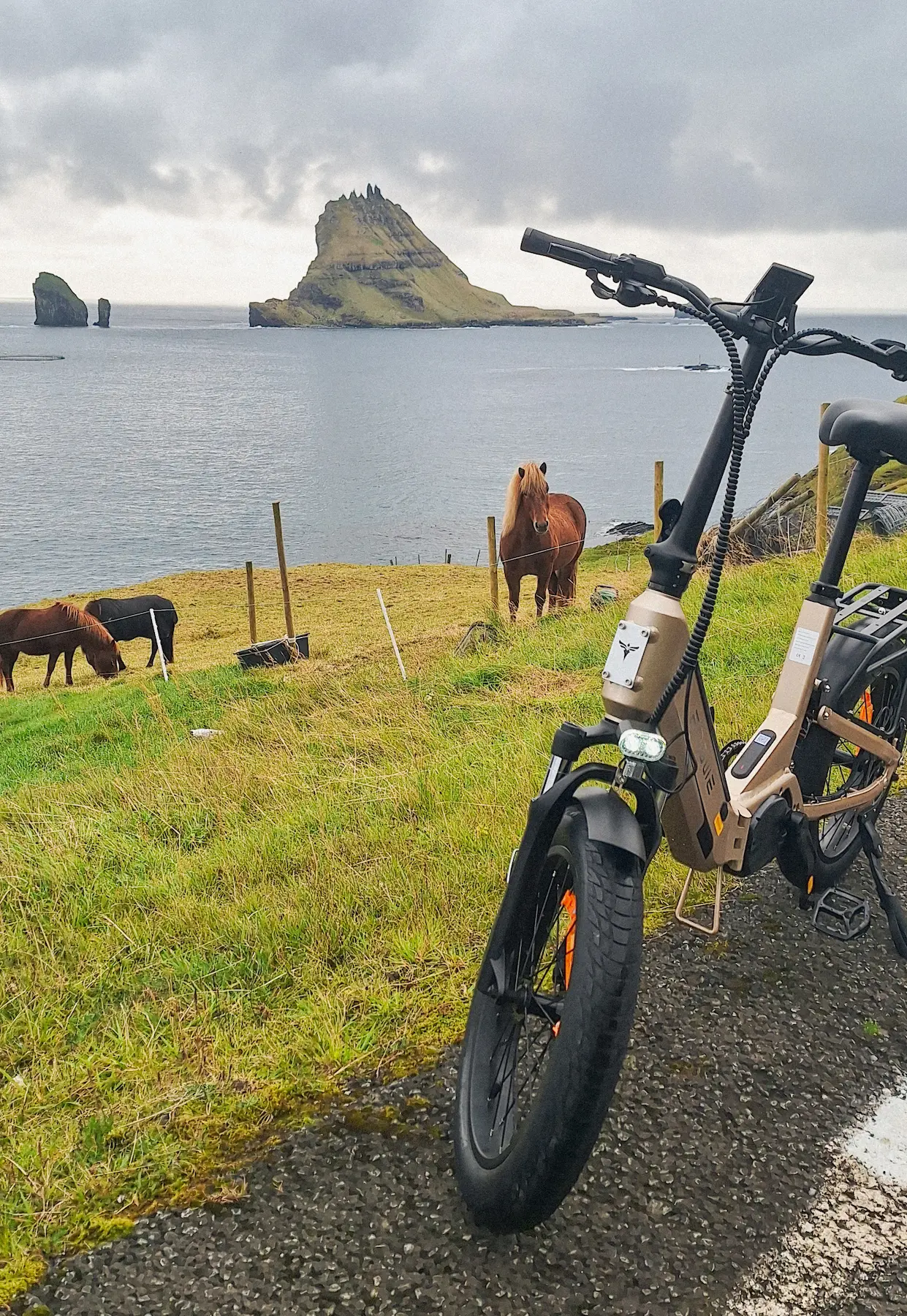 Fjord Fiesta – A joyful ride along the fjords